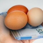 Los precios de los huevos han experimentado un incremento significativo